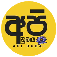 Api Dubai
