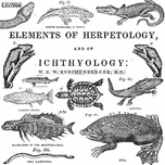 Elements of Herpetology and Ichthyology, The by William Ruschenberger (1807 - 1895)