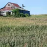 Wisconsin drought, Ancient effigy mounds, Joy of hiking