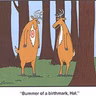 Oh Deer, It's Travis Storms