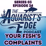 Dear Agony Aunt (Your Fish Send In Their Complaints)