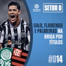 Setor D #014 - Galo, Flamengo e Palmeiras na briga por títulos