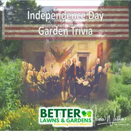 S2 Ep461: Better Lawns and Gardens - Hour 2 Gardening with the Fourth of July June 27,2026
