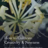 How to Cultivate Creativity and Newness: A life lesson from the Honeysuckle Climber