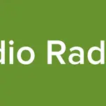 Radio Radical