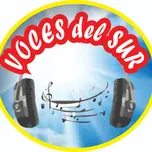 VOCES DEL SUR