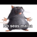 Arrocha Rave