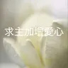 301 【求主加增愛心】