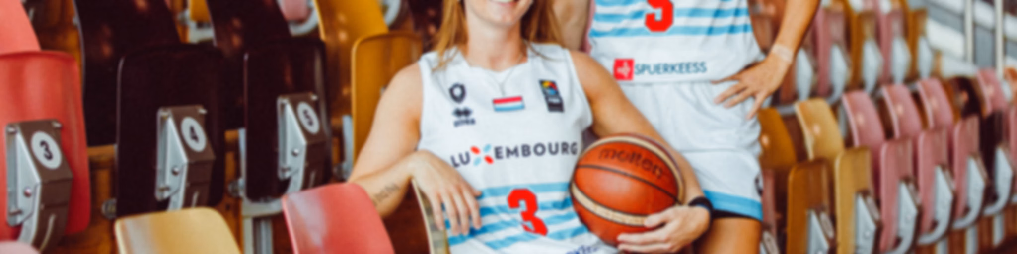Coachseet