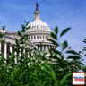 From Washington: The Consequences of Crossing Party Lines