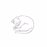 hot kitty