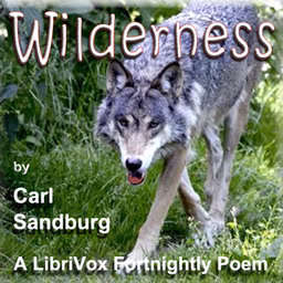 Wilderness