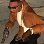 FLEXINRADIO