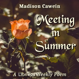 Meeting In Summer