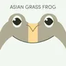 Asian Grass Frog | Week of June 8th