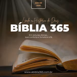 Bíblia 365 – Caminhando Diariamente na Palavra