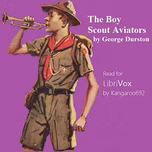 Boy Scout Aviators, The by George Durston