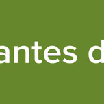 Caminantes de la Fe