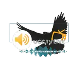 UCC TV LIVE
