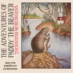 Adventures of Paddy the Beaver (Version 2), The by Thornton W. Burgess (1874 - 1965)