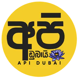 Api Dubai