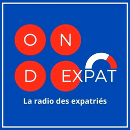Pourquoi stigmatiser ainsi les Français de l’étranger ?