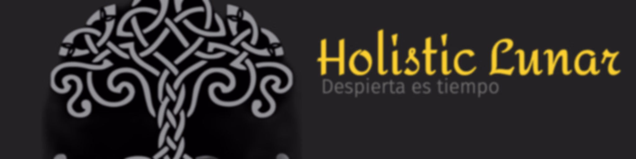Holistic Lunar