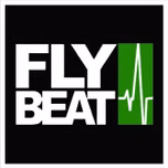 Flybeat E-Music Sounds