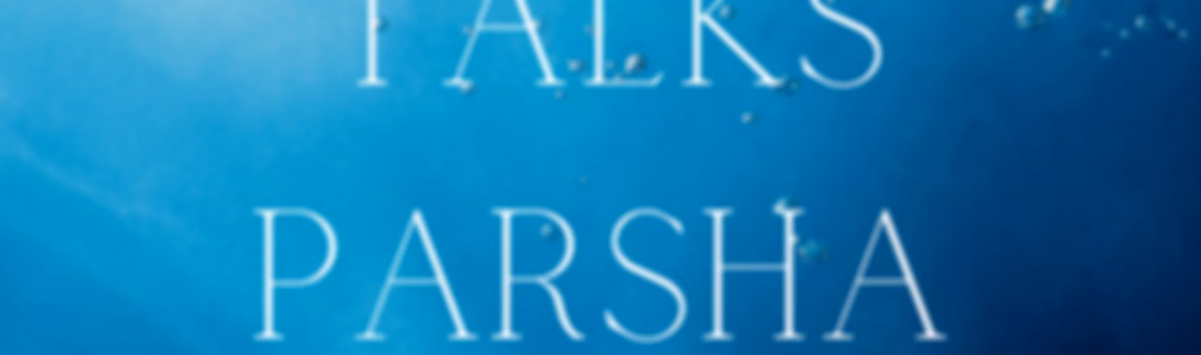 Tani Talks Parsha