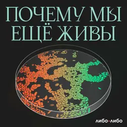 Время разбрасывать и время собирать. Как лечат камни в почках и мочевом пузыре