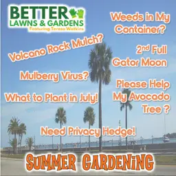 S2 Ep460: Better Lawns and Gardens - Hour 1 Summer Gardening June 27, 2026