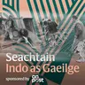 ‘No Irish need apply’: Scéal na nÉireannach i Sasana