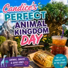Candice's Perfect Animal Kingdom Day
