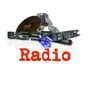 BIG SKI RADIO