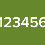 123456