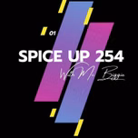 SPICE UP 254 FM