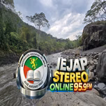 IEJAP STEREO