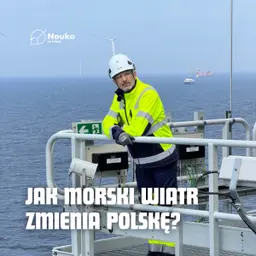 Jak morski wiatr zmienia polską energetykę?