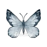 EvenIfMy