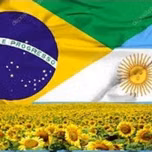 O PATRIOTA