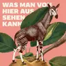 Mariana Leky: Was man von hier aus sehen kann (1/3) - Bestseller-Liebesgeschichte