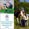 #226 Koń do paraujeżdżenia a koń do hipoterapii – inspiracja do życia i biznesu