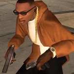 FLEXINRADIO
