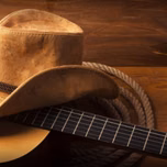 TOP SERTANEJO