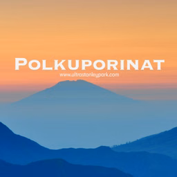 Polkuporinat