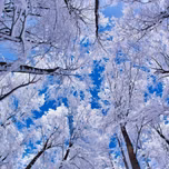 FS_SNOW
