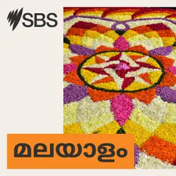 സ്ക്രീൻ ഉപയോഗവും കുട്ടികളുടെ ബുദ്ധിവികാസവും തമ്മിൽ ബന്ധമില്ലെന്ന് പഠനം; എന്നാൽ മാതാപിതാക്കൾ ഇക്കാര്യങ്ങൾ ശ്രദ്ധിക്കണം