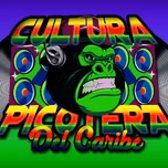 CULTURA PICOTERA DEL CARIBE   RADIO