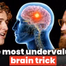 The Neuroscience Habits That Improve Brain Performance | Brandon Cowling