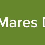 Radio Mares Del Sur